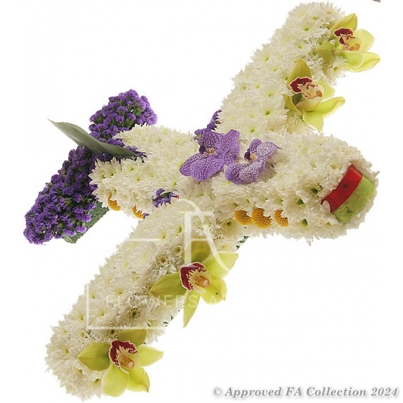 My Image 42