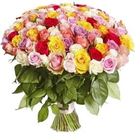Just 101 Colorful Roses