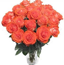 Bouquet of 37 Peach Roses
