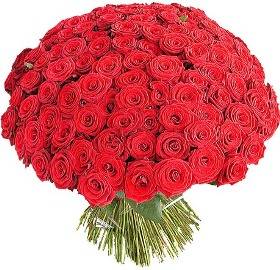 155 Red Roses Bouquet