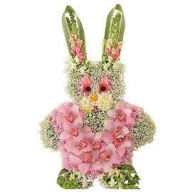 Cute Orchid Bunny
