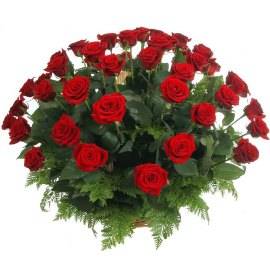Sympathy Basket of 50 Red Roses