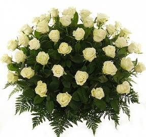 77 Սպիտակ վարդերով զամբյուղ