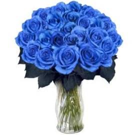 Blue Lady at 55 Blue Roses