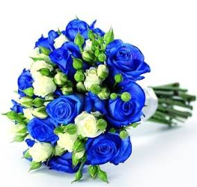 Vivid Bouquet