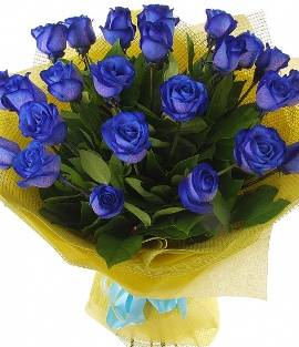 Blue Mystery of 25 Blue Roses