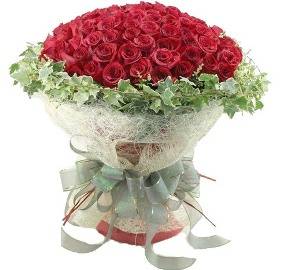 101 Glorious Red Roses