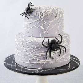 Spider’s Life Cake