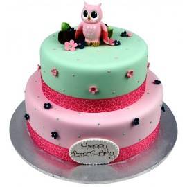 Baby Owl Cake