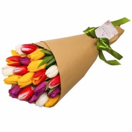 Colorful Explosion of 21 Tulips