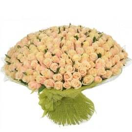 Cheerful Wishes