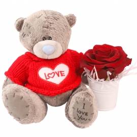 Bear With One Red Rose
