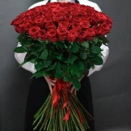 Роскошные Алые Розы