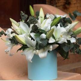 Blooming Lily Joy