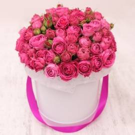 Perfect Pink Roses
