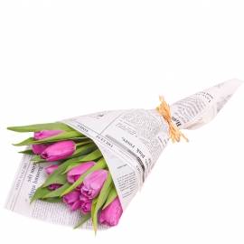 Cute Tulips