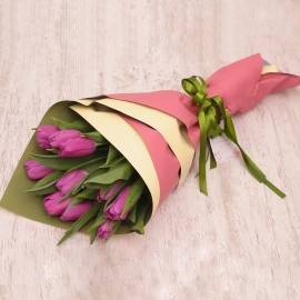 Purple Tulips