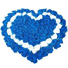 Brilliant Emotions with 125 Roses