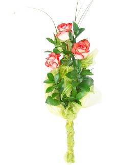 Romance of Roses