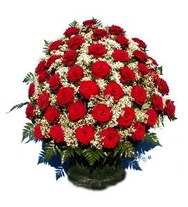 100 Sympathy Red Roses