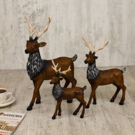 Collection of Forest Deer