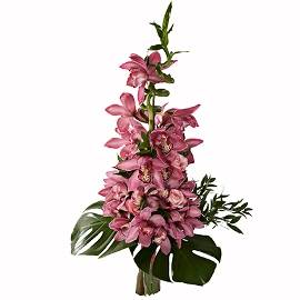 Grandeur Orchids Bouquet