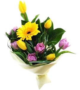 Bouquet of Tulips and Gerberas