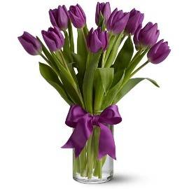 A Bright Personality