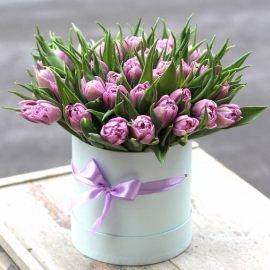 Sweetness
