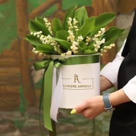 Lily of the Valley (Landish) in a Box