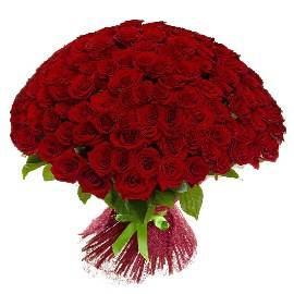 125  Roses Rouge De Luxe