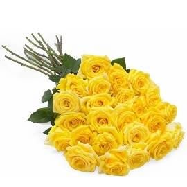 25 отборных жёлтых роз
