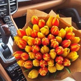 Stylish Sunny Tulips