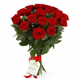 21 Charming Red Roses