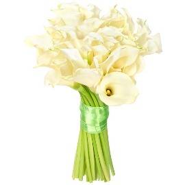 Bouquet of  White Calas