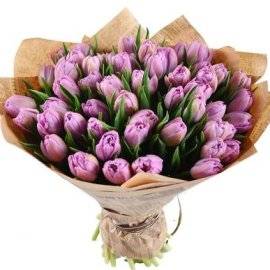 Lilac Tulips