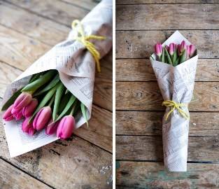 Beauty of Pink Tulips