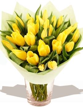 27 Yellow Roses