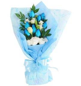 Cute Blue & White Roses