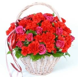 Bright Basket