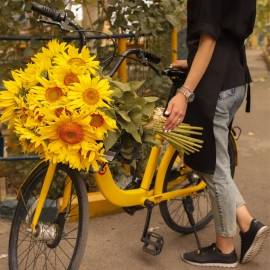 Sunflowers Big Bouquet