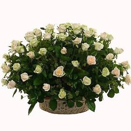 Sympathy Basket or 70 White Roses
