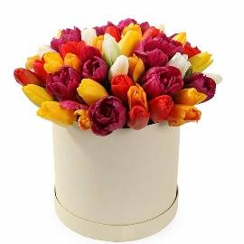 45 bright tulips in box