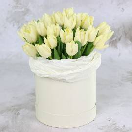Ethereal Gift