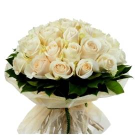 White Glory Roses