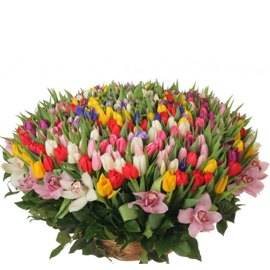 Royal Tulip  Basket